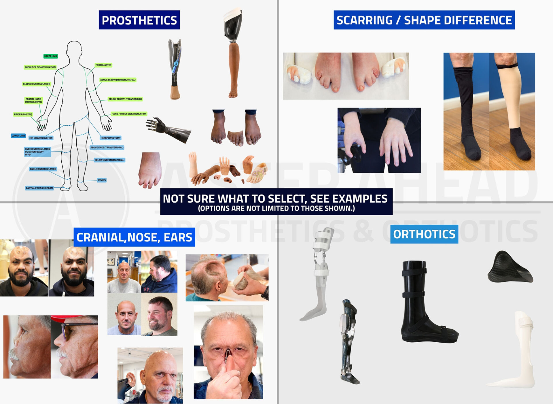 1 NOT SURE WHAT TO SELECT, SEE EXAMPLES (OPTIONS ARE NOT LIMITED TO THOSE SHOWN.)